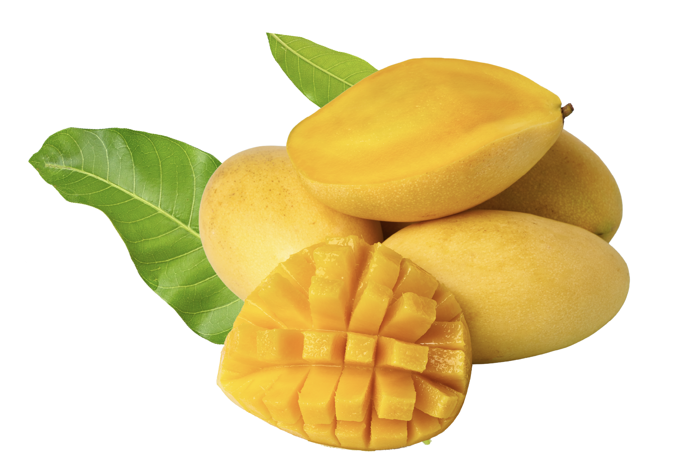 Organic Kesar mango